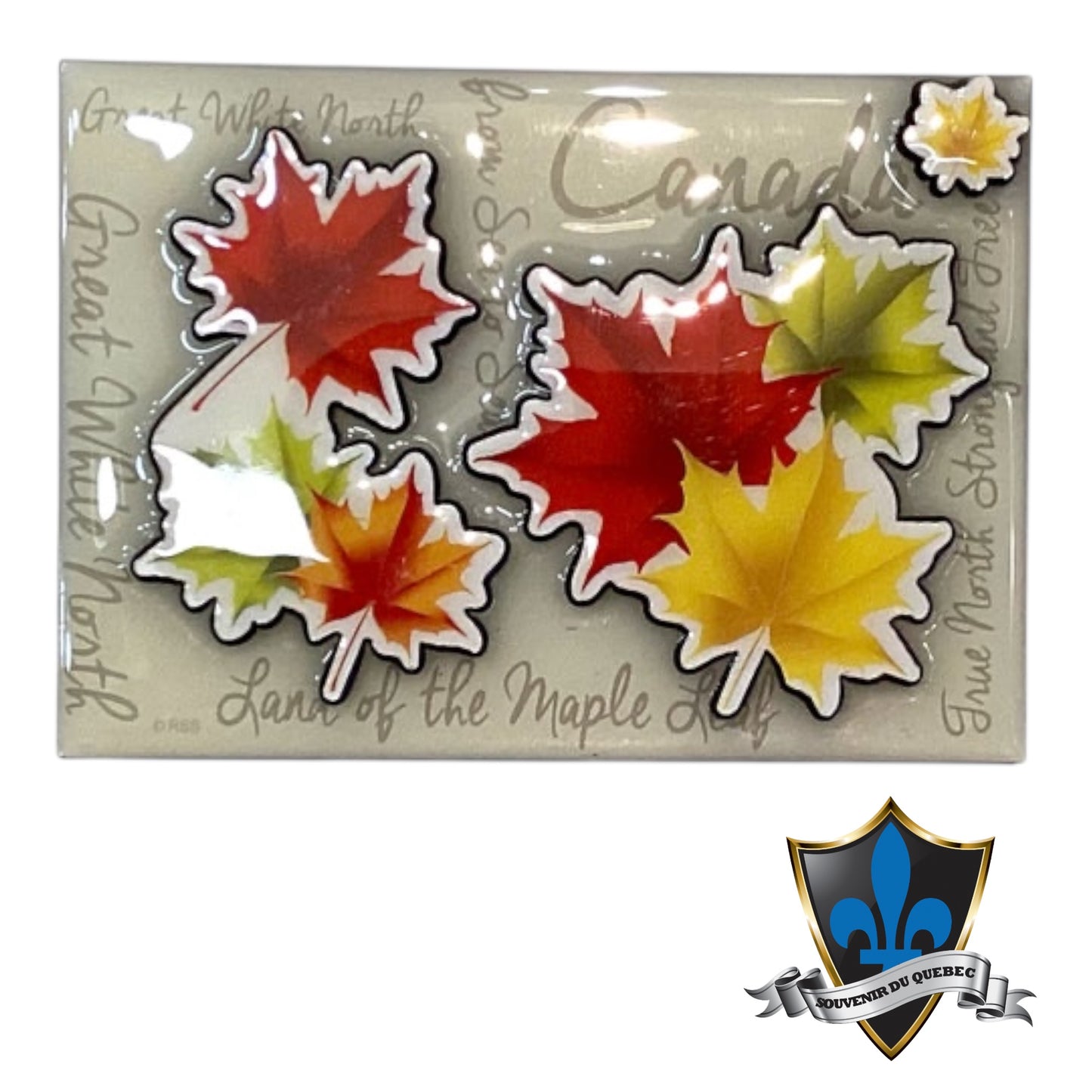 Canada maple leaves wood Magnet.