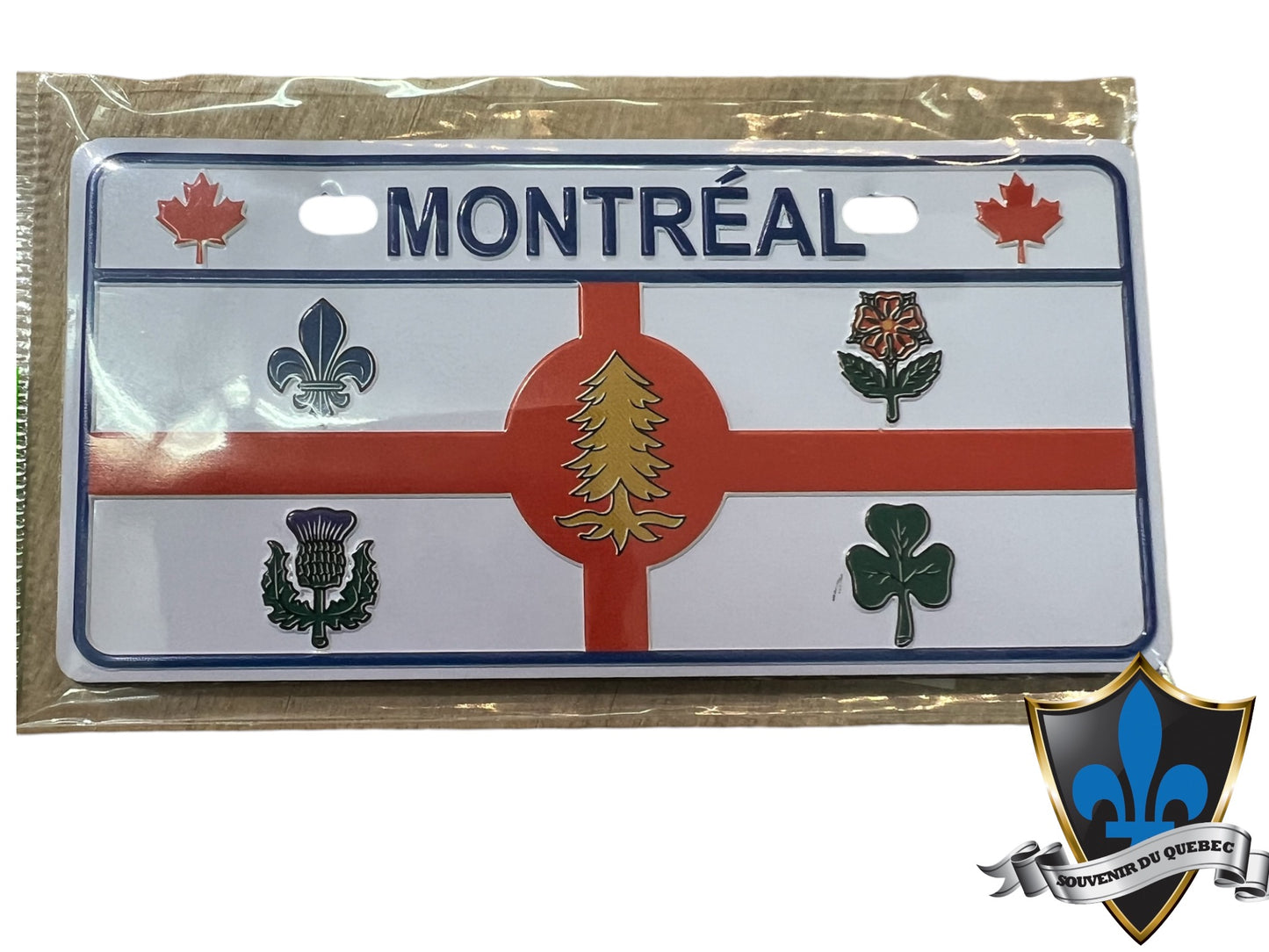 Aimant en métal de Montréal.
