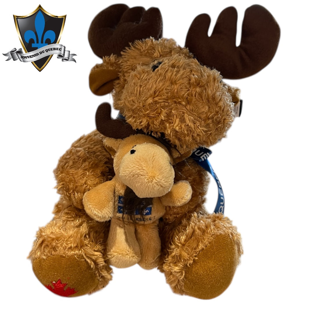 Bear With baby and Québec flag.