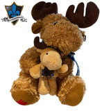 Bear With baby and Québec flag.