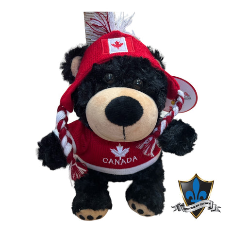 Ours en peluche canadien avec pull drapeau du Canada.