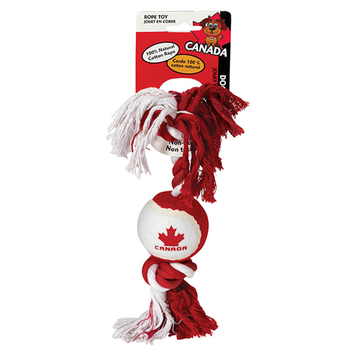 Jouet pour chien - Chien jouant au tennis avec une corde 